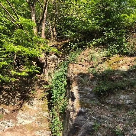 Vakantiehuis ' Au Coeur De La Vallee ' Érezée